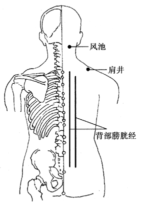健康养生刮痧拔罐,健康养生刮痧艾灸