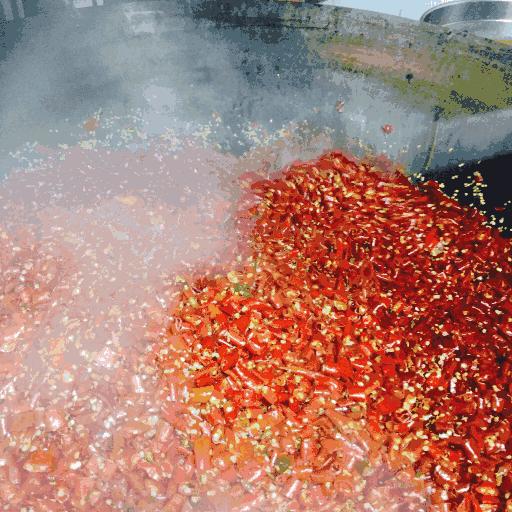 空姐辞职开串串火锅,空姐辞职回家创业