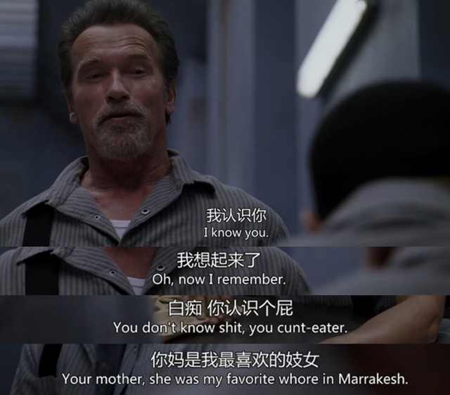 欧美动作片荷尔蒙爆棚,香港经典动作片荷尔蒙爆棚