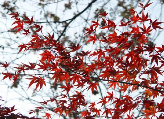 陵川我的故乡,原来的陵川