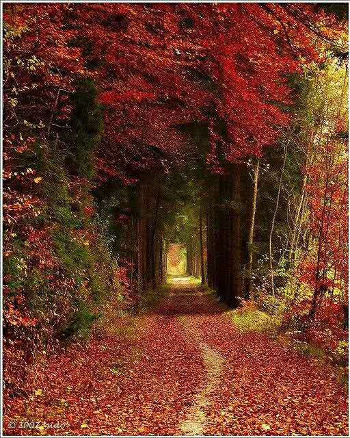 厚黑之道易而难,厚黑处世智慧全集