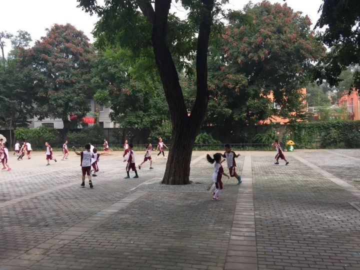 北大附小幼儿园,北大附小入学条件