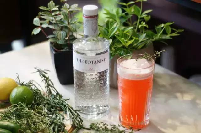 「微微8醺」vol.6｜是金酒代表了人，还是人喝出了金酒的优雅？