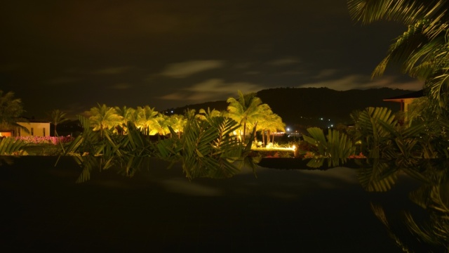 谁陪我度过安达拉的迷人夜