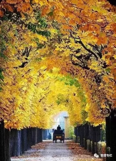 厚黑之道易而难,厚黑处世智慧全集