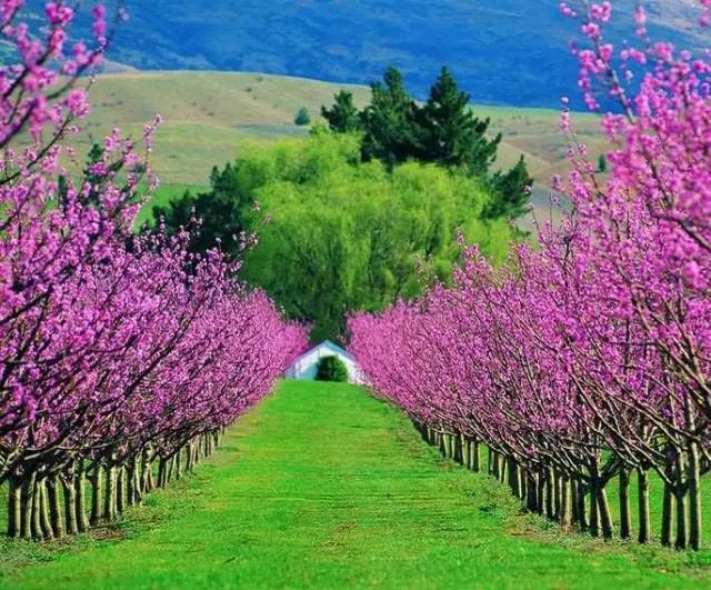 厚黑之道易而难,厚黑处世智慧全集