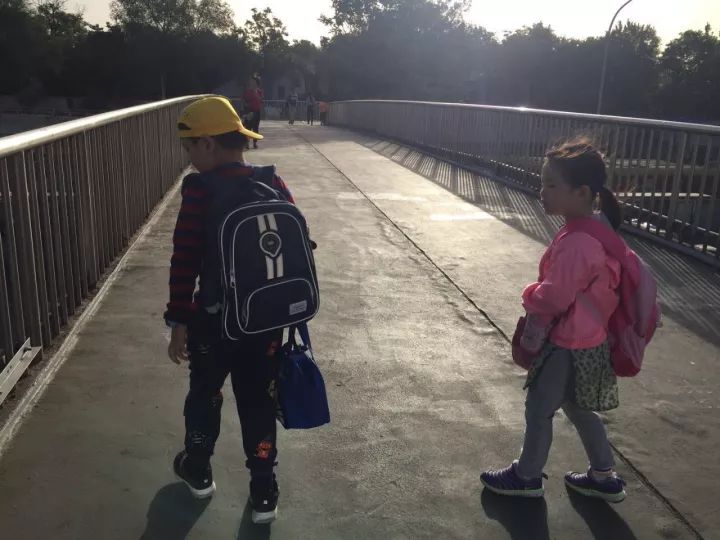 北大附小幼儿园,北大附小入学条件