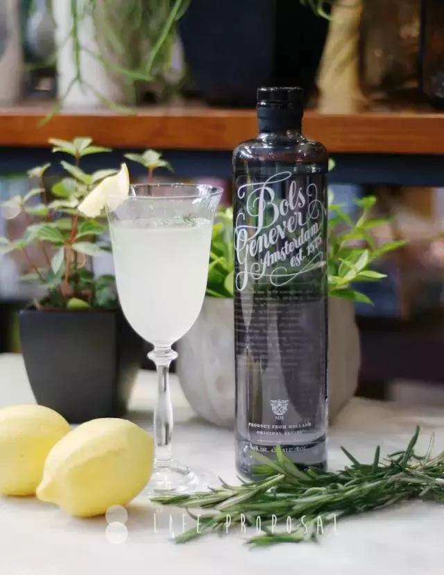 「微微8醺」vol.6｜是金酒代表了人，还是人喝出了金酒的优雅？