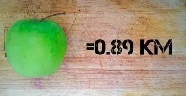 吃什么可以掉脂肪掉得快,吃了很多东西运动有用吗