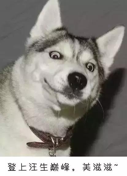 鐗瑰嫟绮捐嫳鐪熺浉鎻,浜虹被鏈В涔嬭皽鐗瑰嫟绮捐嫳