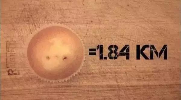 吃什么可以掉脂肪掉得快,吃了很多东西运动有用吗