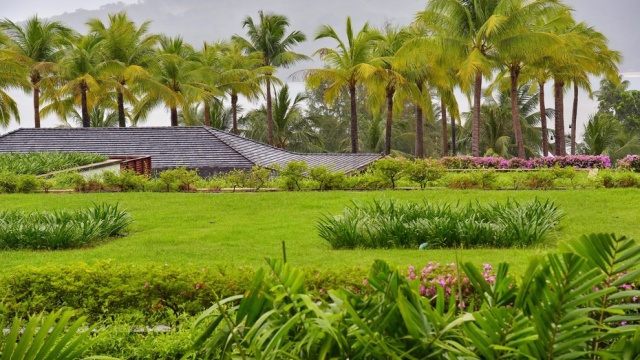 谁陪我度过安达拉的迷人夜