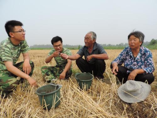 大学生村官4年减少10万人，近一半人选择离开，为什么？