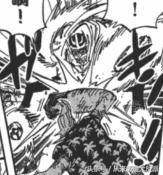 海贼王有多少人出场,海贼王一共出现了多少个人物