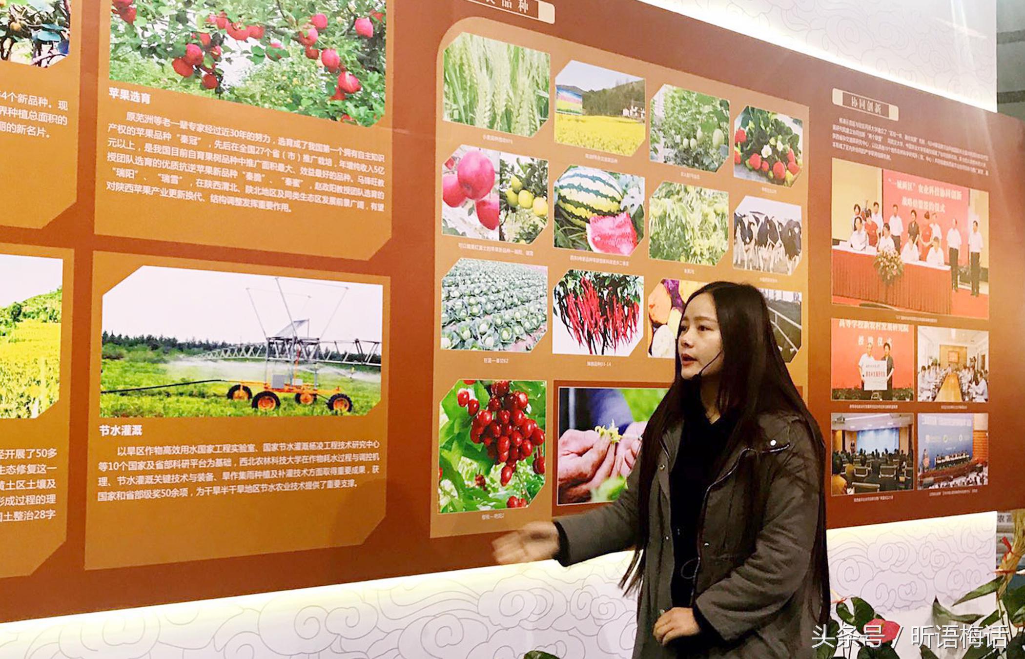 现代农业看杨凌,杨凌国家农业高新技术产业示范区