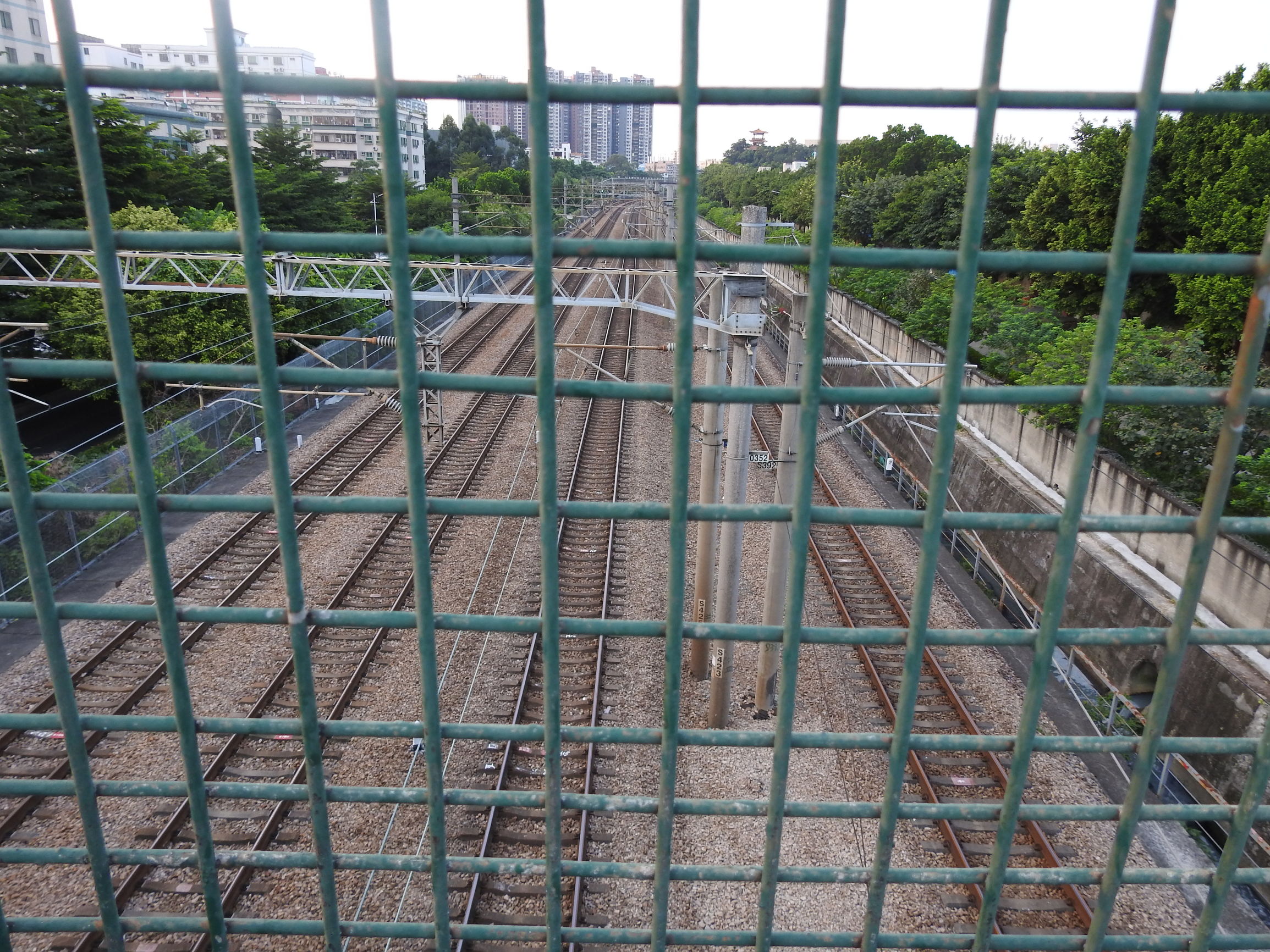 塘厦有哪些风景,塘厦凌晨哪里好玩