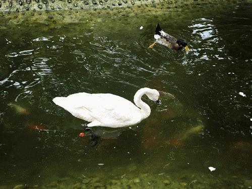 北京最高端驾校,北京性价比最高的驾校
