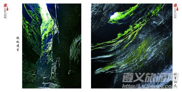 贵州绥阳十二背后探洞之旅结束,绥阳十二背后洞穴探险活动