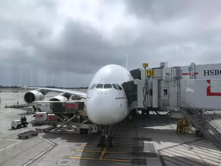 曾哥美国视频,曾哥美国