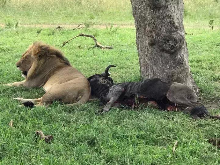 曾哥美国视频,曾哥美国