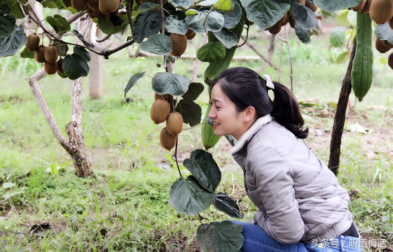 现代农业看杨凌,杨凌国家农业高新技术产业示范区