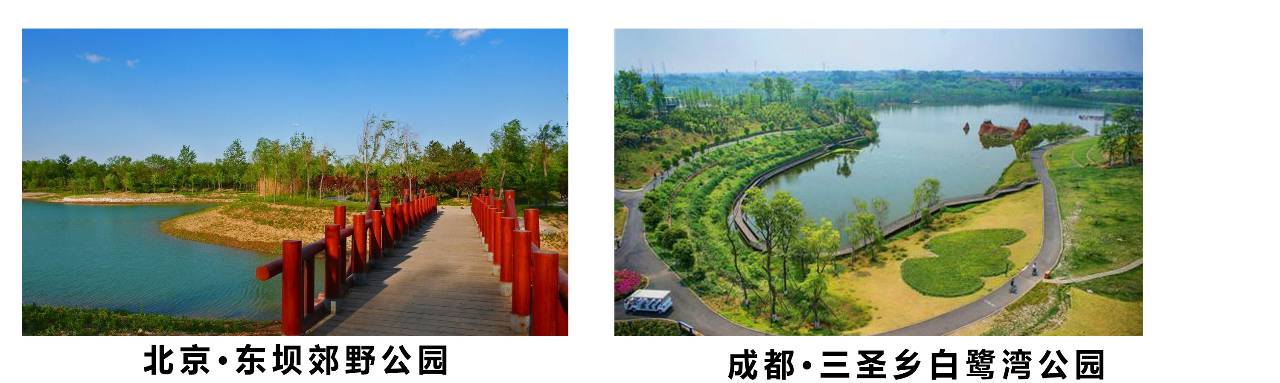 成都三圣乡富裕吗,中国成都三圣乡