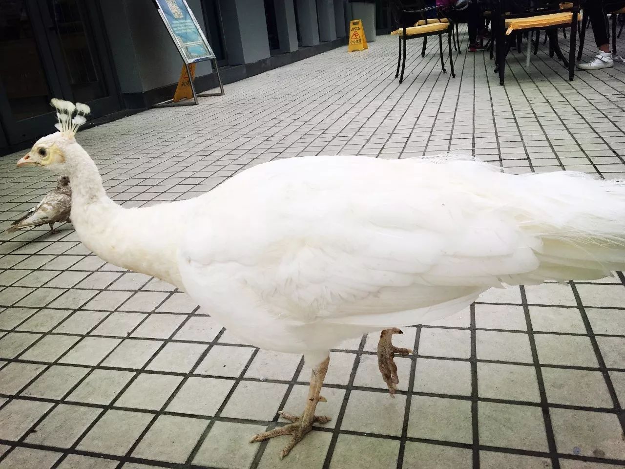 北京最高端驾校,北京性价比最高的驾校