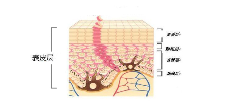男生变白最有效的方法测评,男生变白小技巧学生党