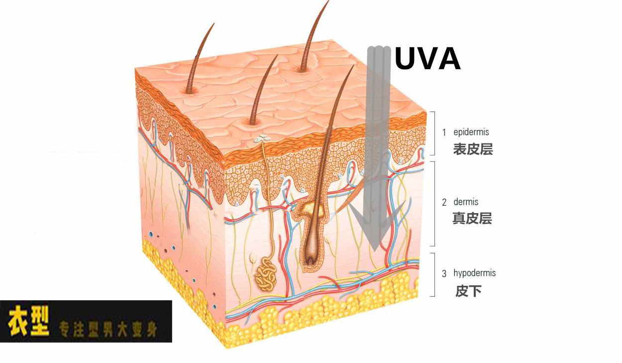 男生变白最有效的方法测评,男生变白小技巧学生党