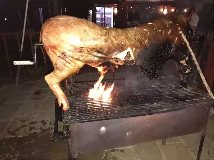 曾哥美国视频,曾哥美国