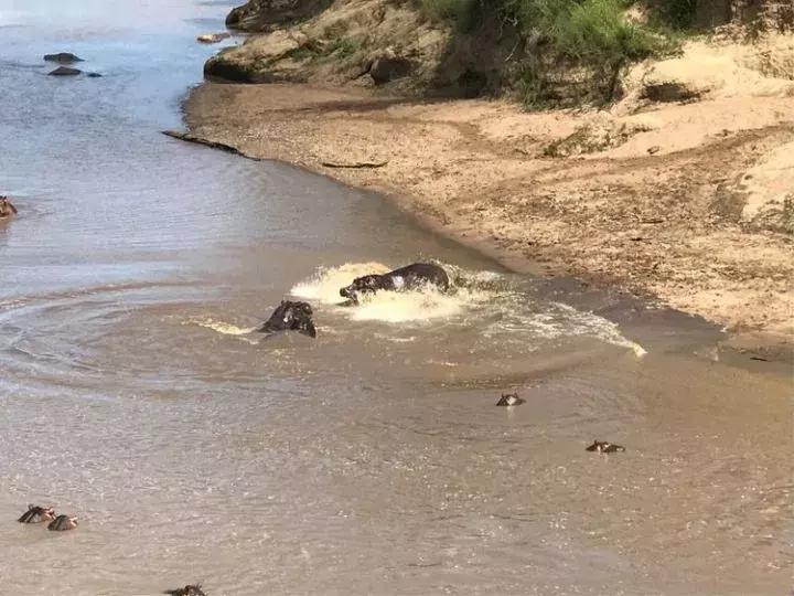 曾哥美国视频,曾哥美国