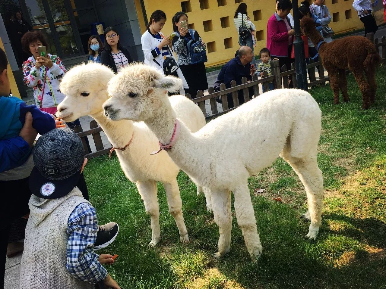 北京最高端驾校,北京性价比最高的驾校