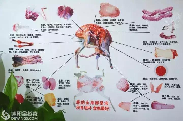 御寒暖胃的美食,御寒食物牛羊肉