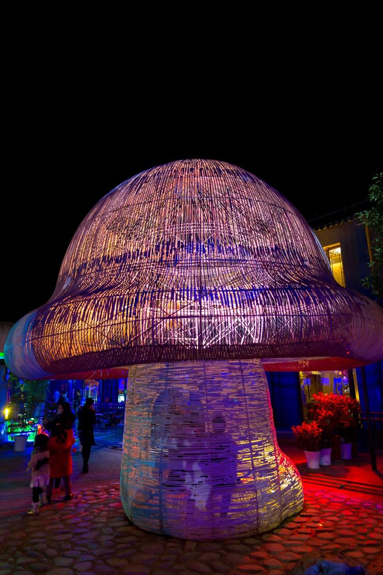 蹇冨績鍐棩灏忚,蹇冨績鍐棩