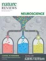 nature杂志封面2023图文,nature杂志渐变色