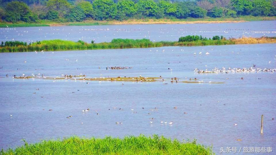 广州有什么看海的度假酒店,广州看海酒店推荐
