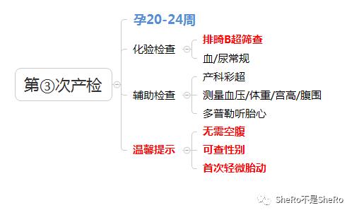 孕妈必备，产检时间表检查内容