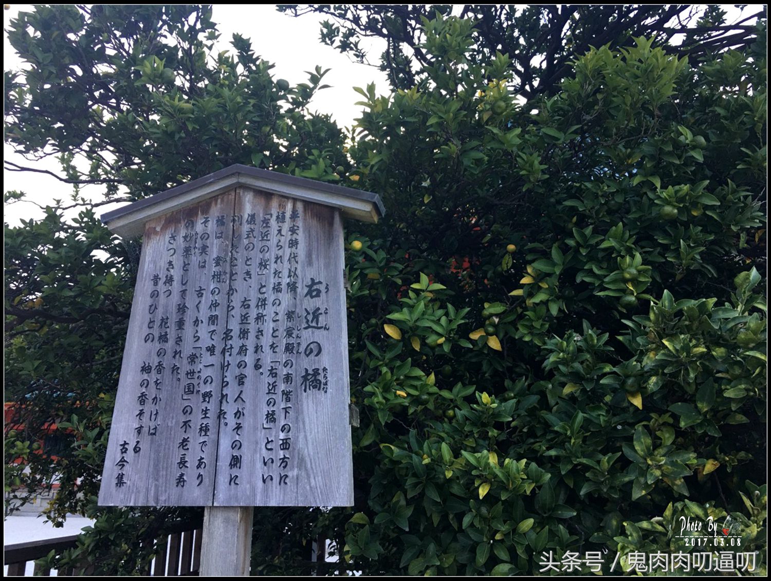 去日本的第一站,日本第一站飞大阪还是飞东京好