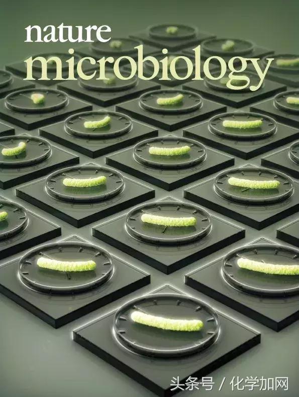 nature杂志封面2023图文,nature杂志渐变色