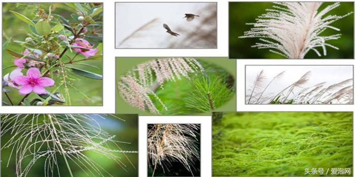 清远英德奇洞温泉度假村酒店,广州山水森林温泉度假酒店