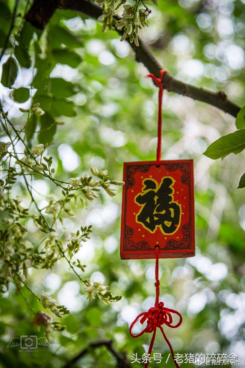 京城龙脉,一座和珅府半部清代史