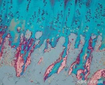 nature杂志封面2023图文,nature杂志渐变色