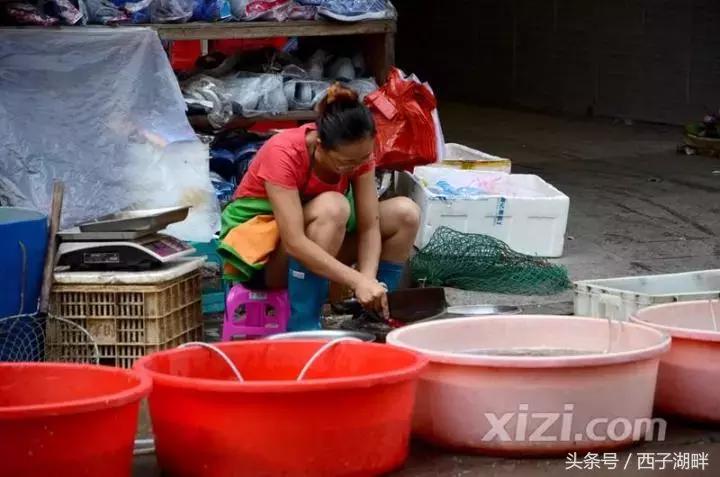 曾经对妻儿爱答不理如今高攀不起,曾经对我爱理不理如今高攀不起