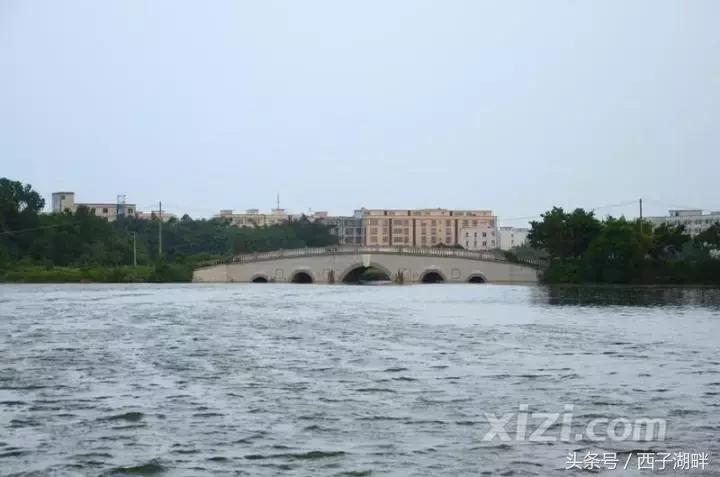 曾经对妻儿爱答不理如今高攀不起,曾经对我爱理不理如今高攀不起