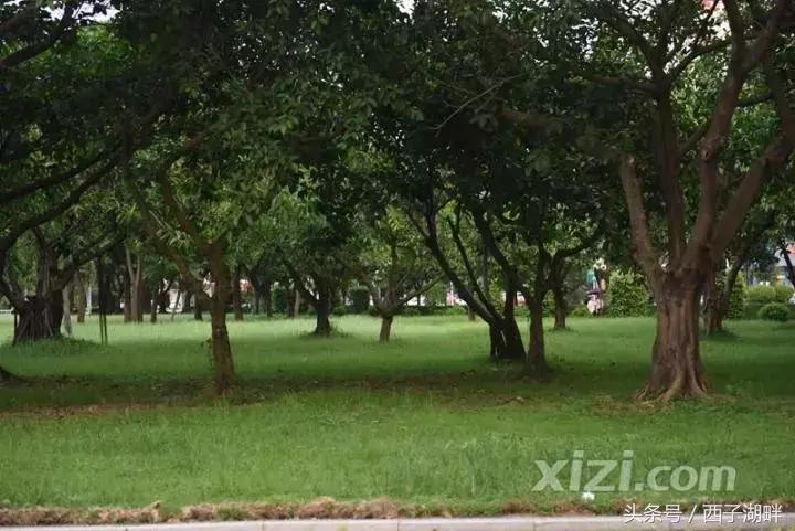 曾经对妻儿爱答不理如今高攀不起,曾经对我爱理不理如今高攀不起