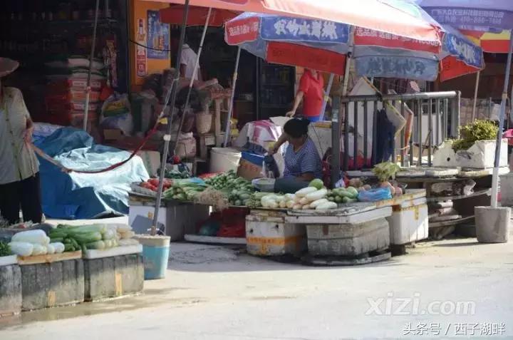 曾经对妻儿爱答不理如今高攀不起,曾经对我爱理不理如今高攀不起