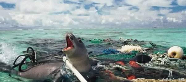 男子靠捡垃圾一年赚百万,捡垃圾赚钱真实案例