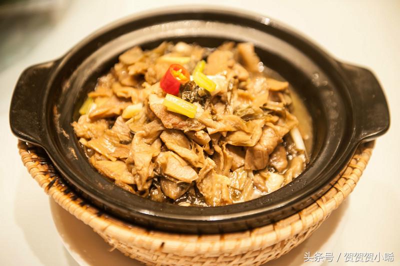 广州十大冷门自驾,广州自驾游最佳线路图最新