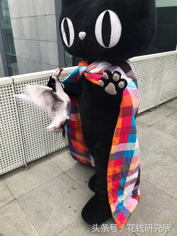 京东和天猫双11谁赢,京东电商大战剑指苏宁