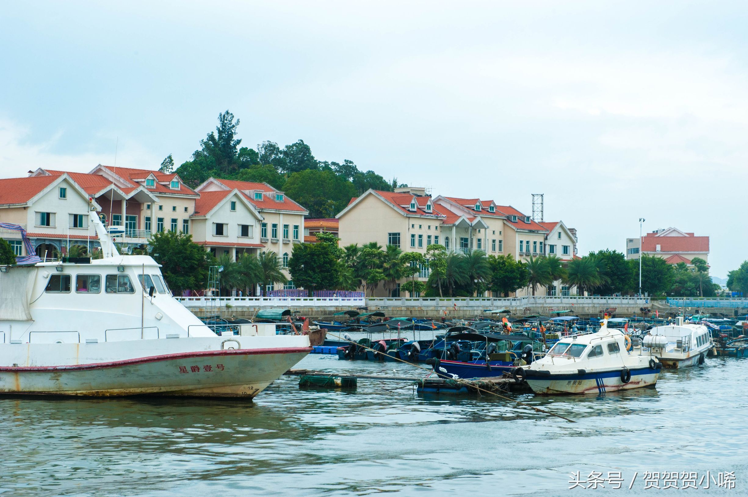 广州十大冷门自驾,广州自驾游最佳线路图最新